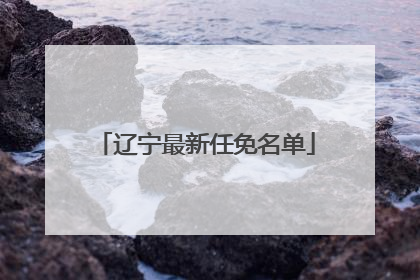 辽宁最新任免名单